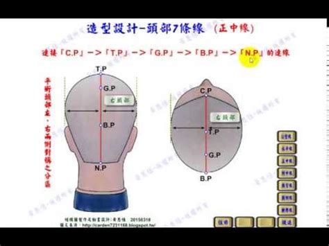 頭部七條基準線|剪吹造型能力本位訓練教材 基本剪法概論